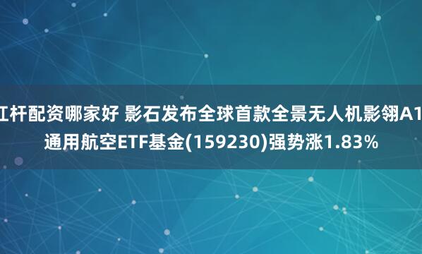 杠杆配资哪家好 影石发布全球首款全景无人机影翎A1，通用航空ETF基金(159230)强势涨1.83%