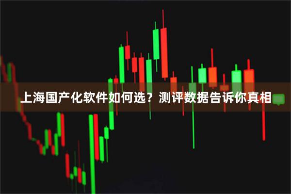 上海国产化软件如何选？测评数据告诉你真相