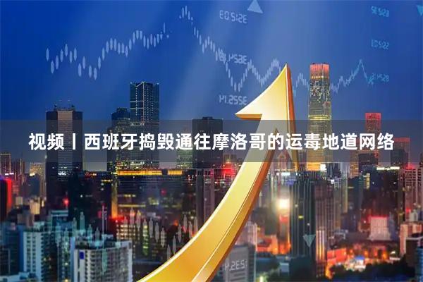 视频丨西班牙捣毁通往摩洛哥的运毒地道网络