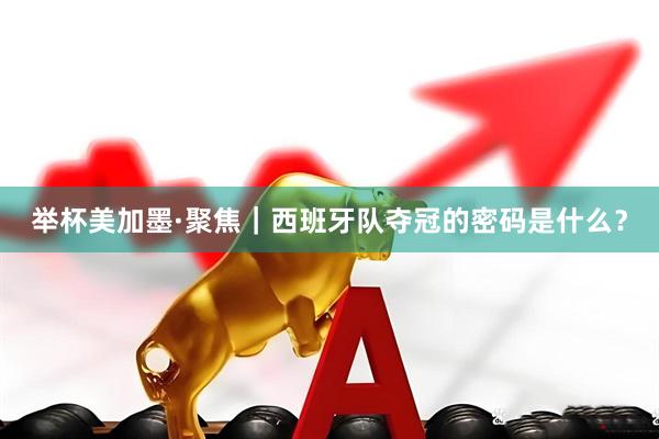 举杯美加墨·聚焦｜西班牙队夺冠的密码是什么？