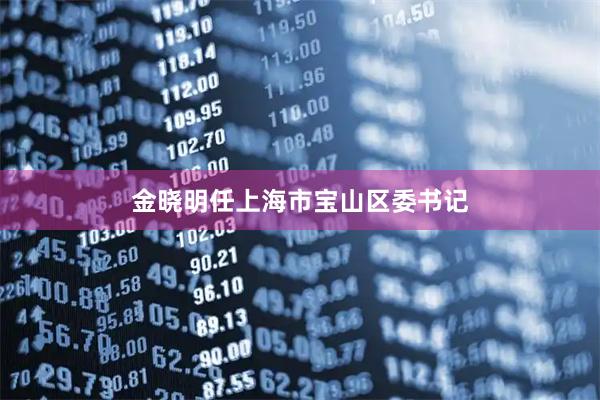 金晓明任上海市宝山区委书记